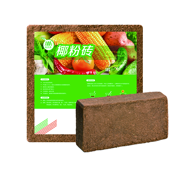 im电竞·(中国)电子竞技平台