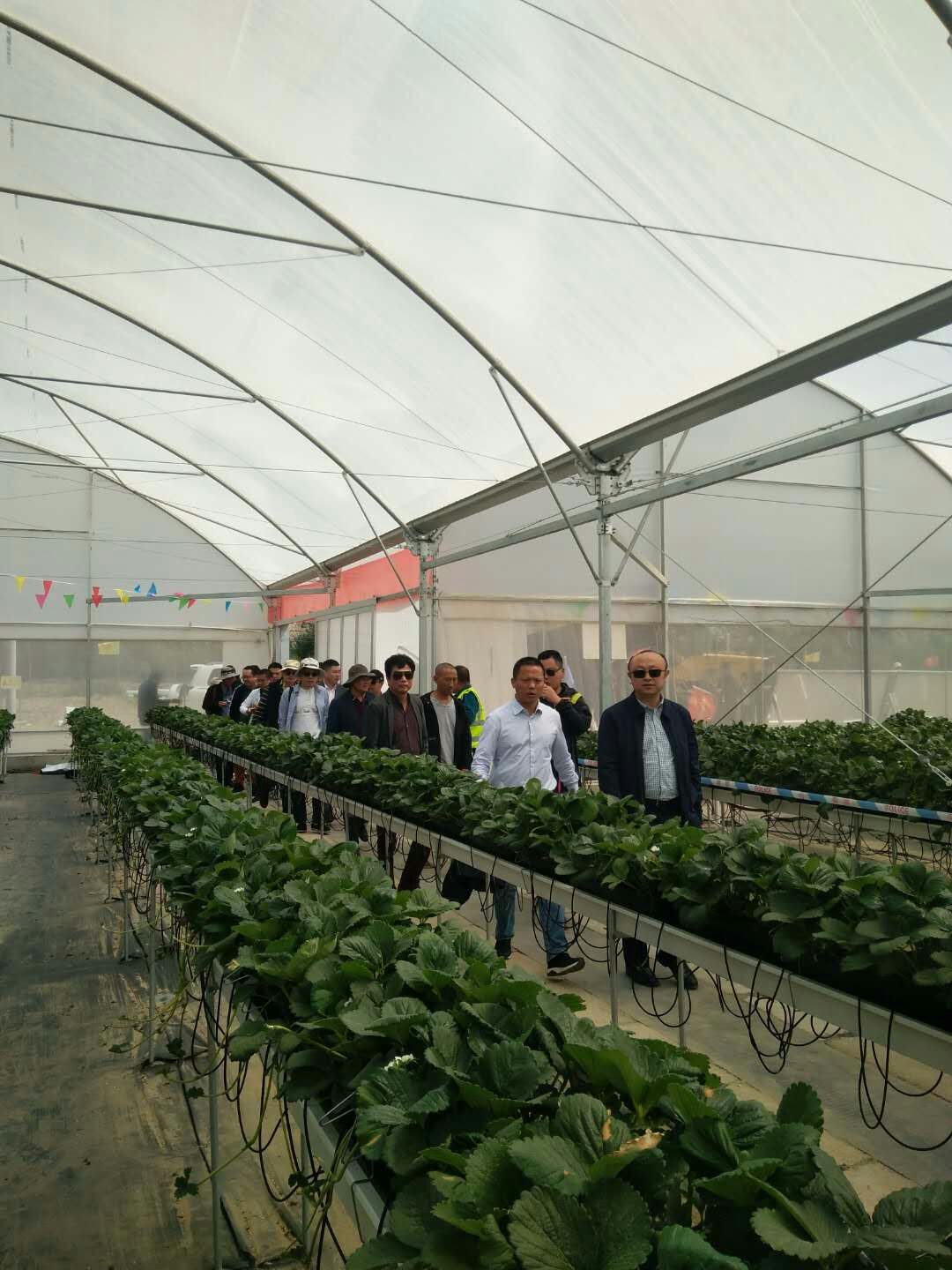 im电竞·(中国)电子竞技平台