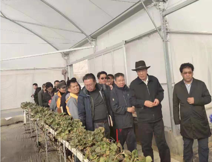 im电竞·(中国)电子竞技平台