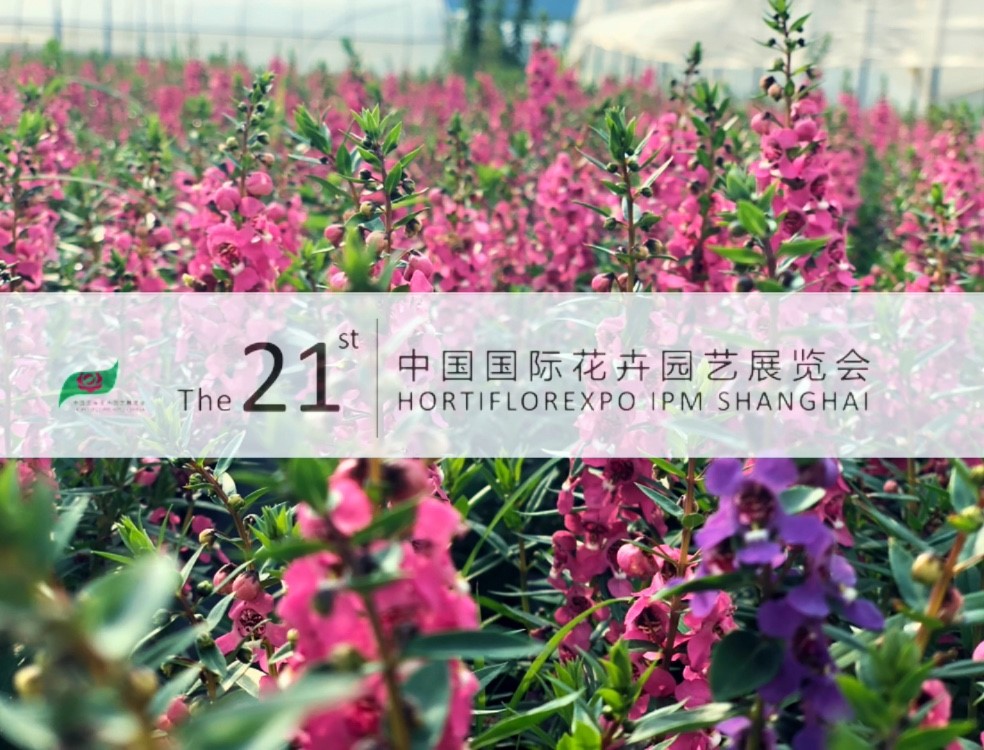 im电竞·(中国)电子竞技平台
