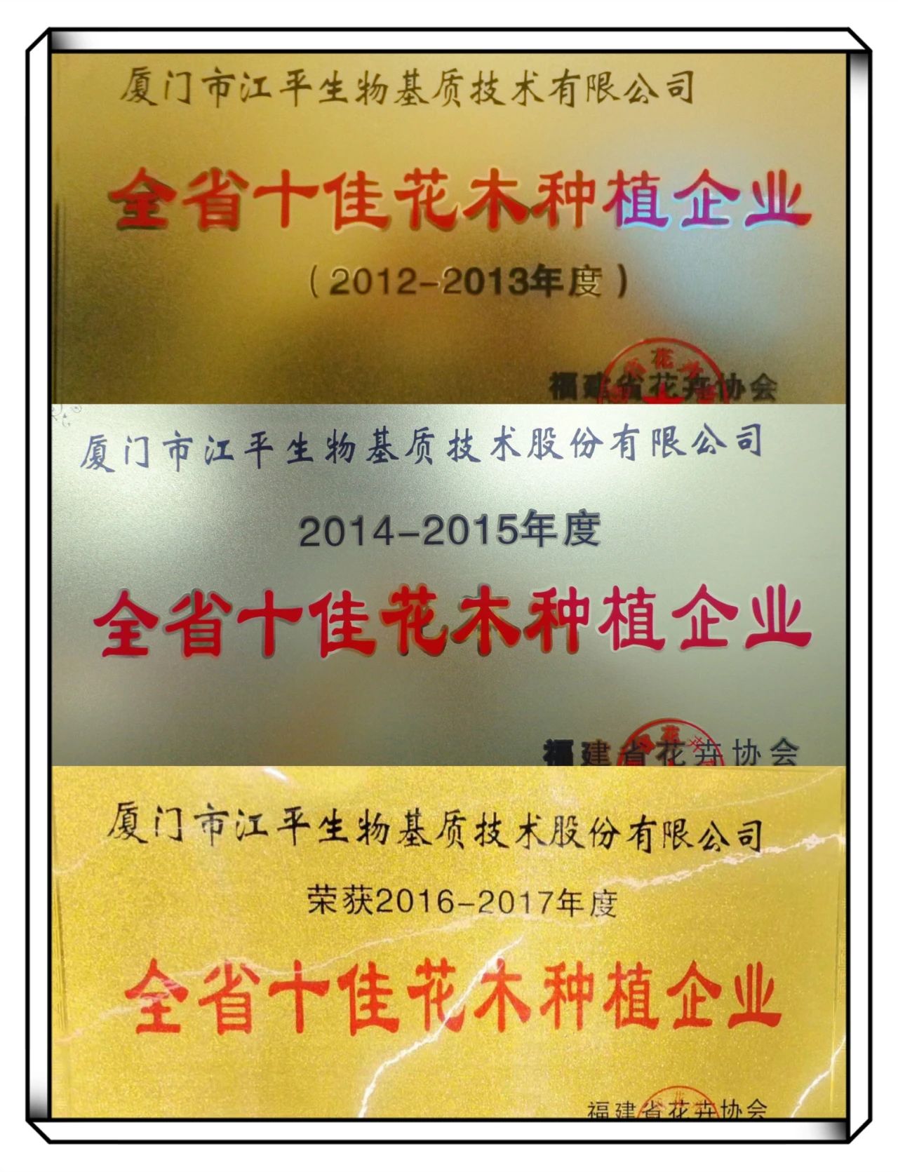 im电竞·(中国)电子竞技平台