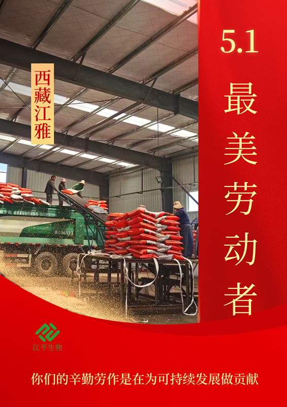im电竞·(中国)电子竞技平台